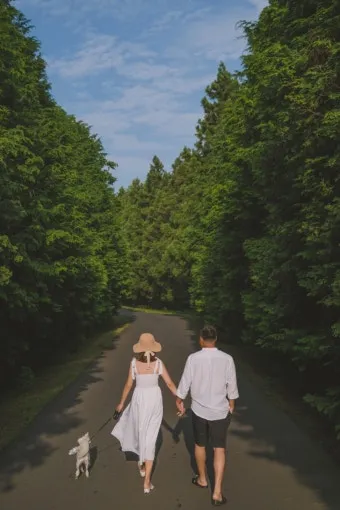 제주 반려견과 함께 가기 좋은 펫프렌들리 숙소 리스트_17