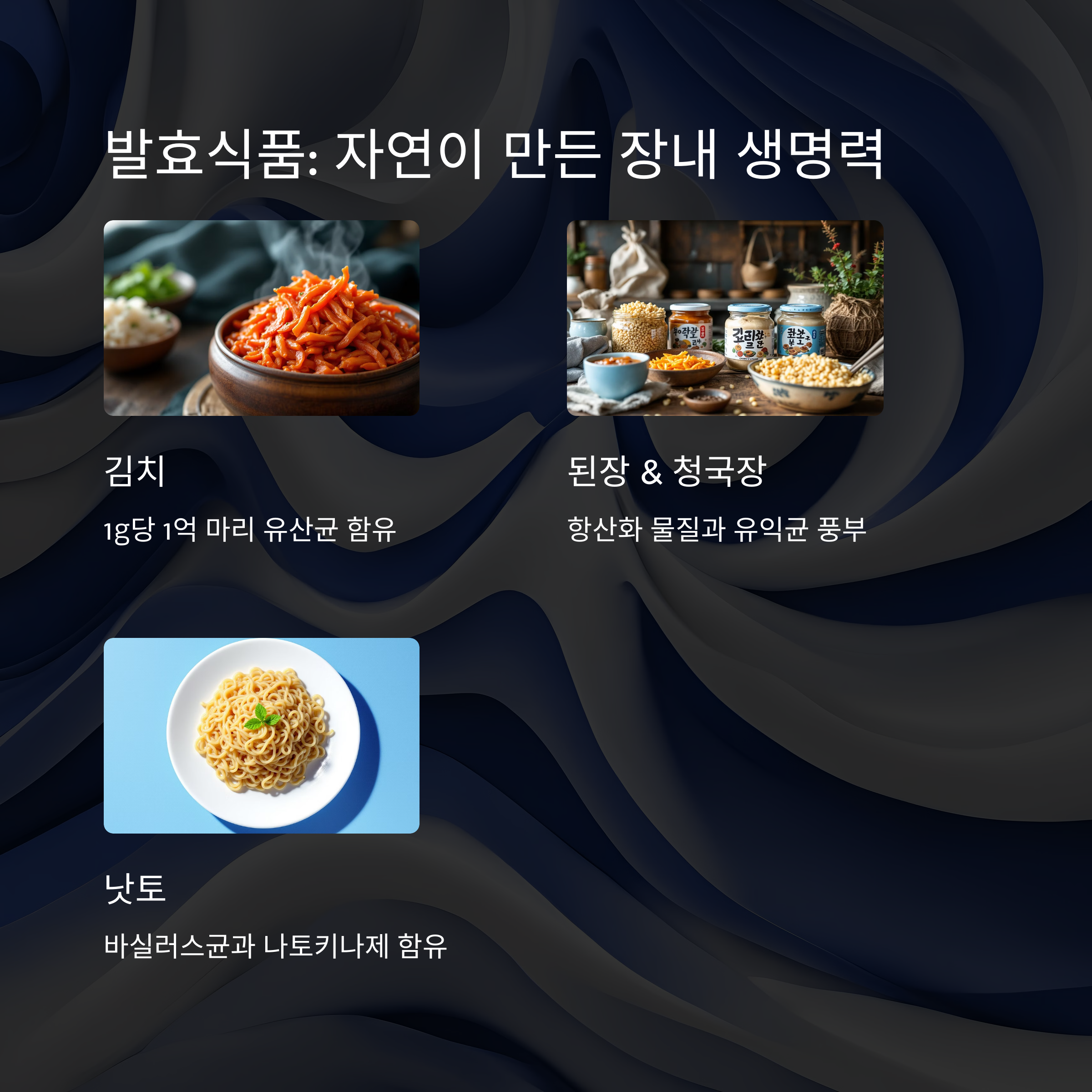 발효식품 : 자연이 만든 장내 생명력