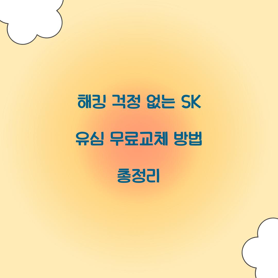 해킹 걱정 없는 SK 유심 무료교체 활용법