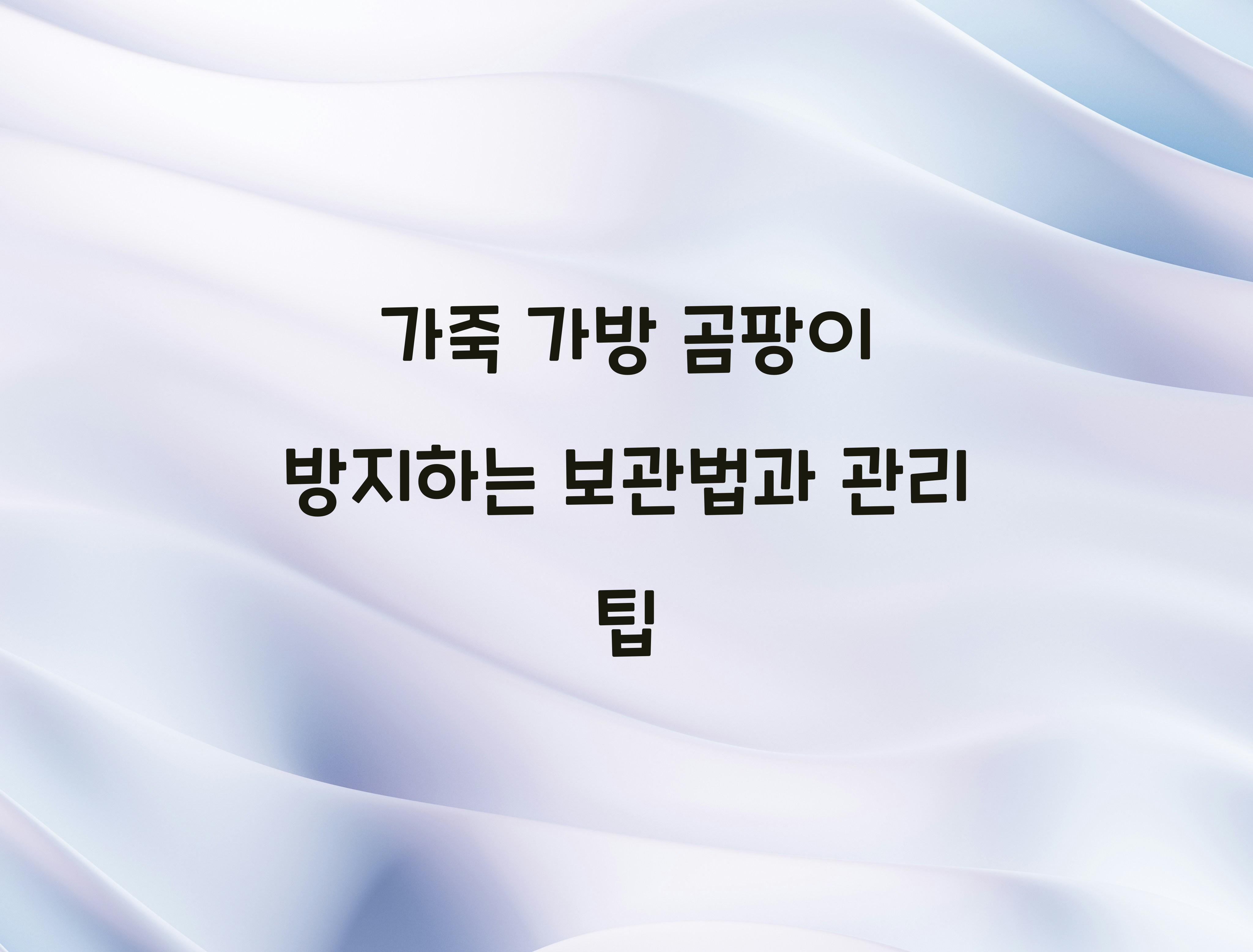 가죽 가방 곰팡이 방지하는 보관법