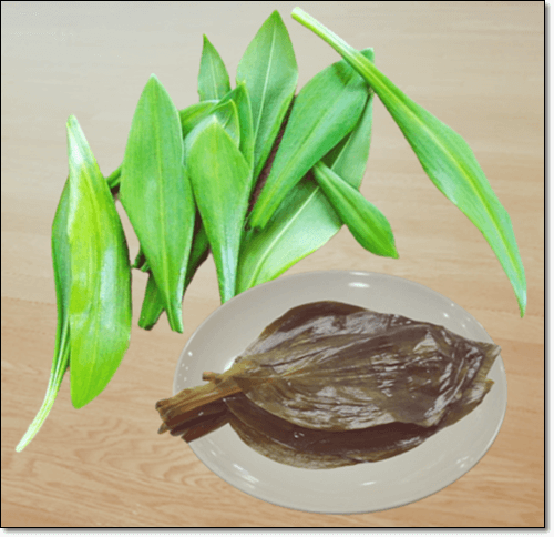 명이나물 장아찌