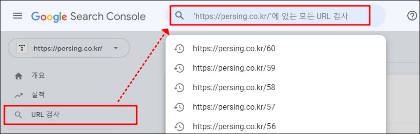 URL 검사 방법
