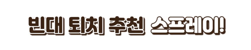 빈대퇴치방법
