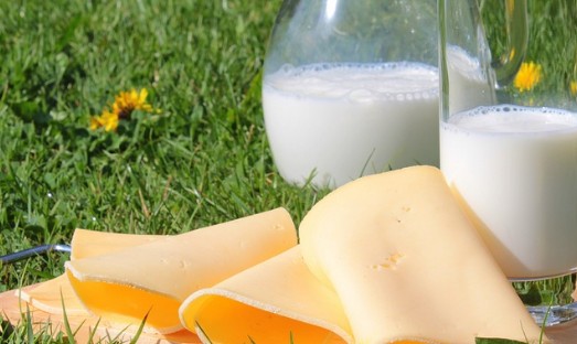 위암에 좋은 음식