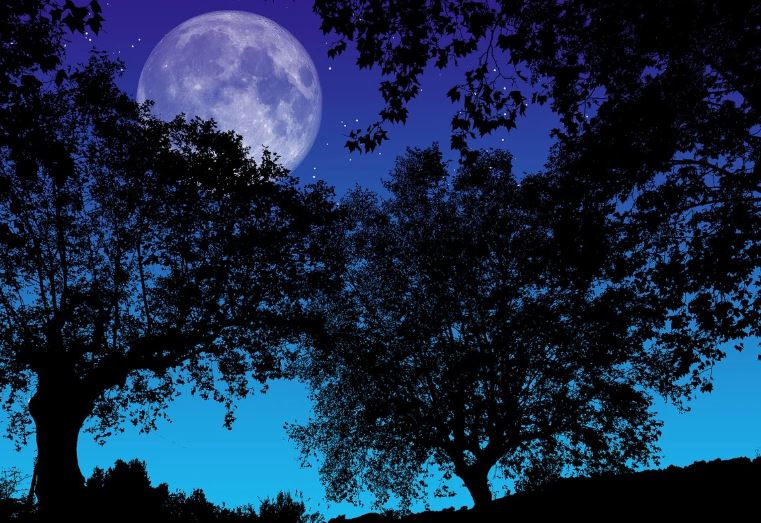 한국 전통 달맞이 명소, 지역별 추천지