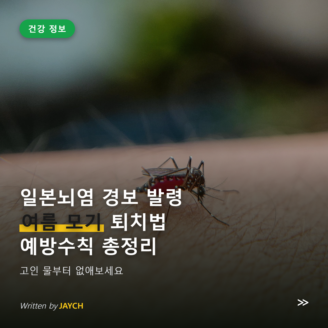 일본뇌염 경보 여름 모기 퇴치 예방수칙 썸네일 - 피부 위 모기 이미지