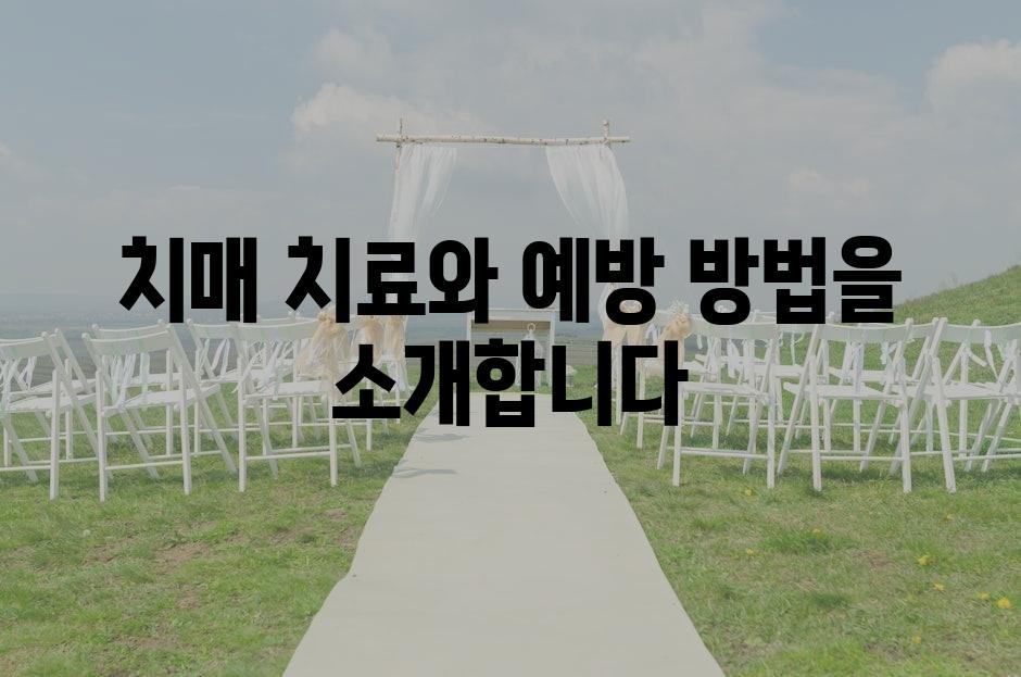 샘플 (69)