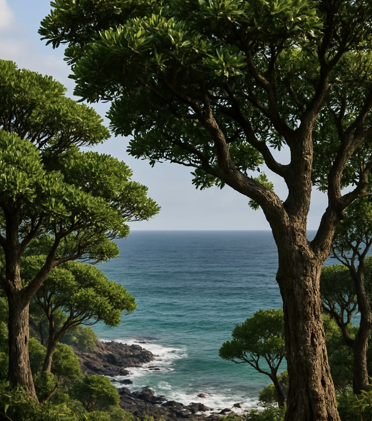 겨울에도 푸른, 남쪽의 신사