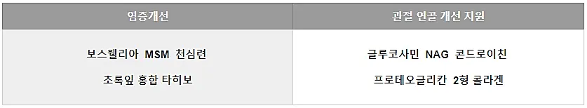 관절염-영양제-기능별-구분
