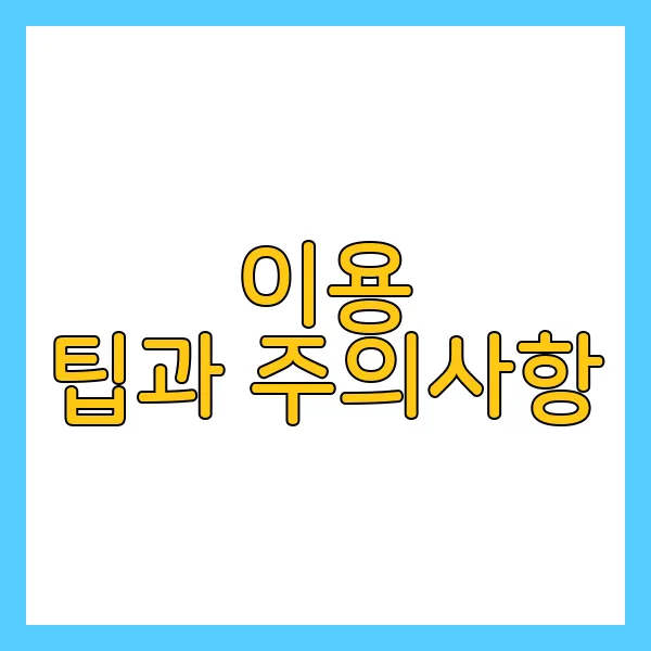 이용 팁과 주의사항