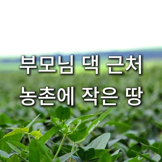 풀
