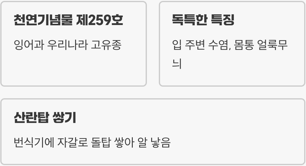 천연기념물&amp;#44; 우리 강의 보석