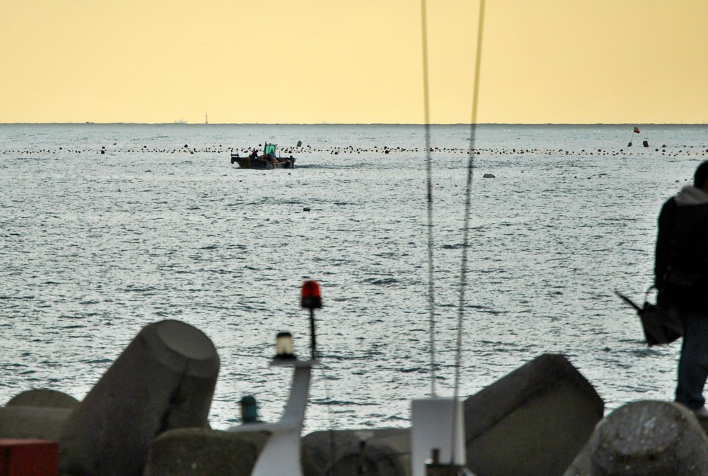 해운대 미포항 풍경