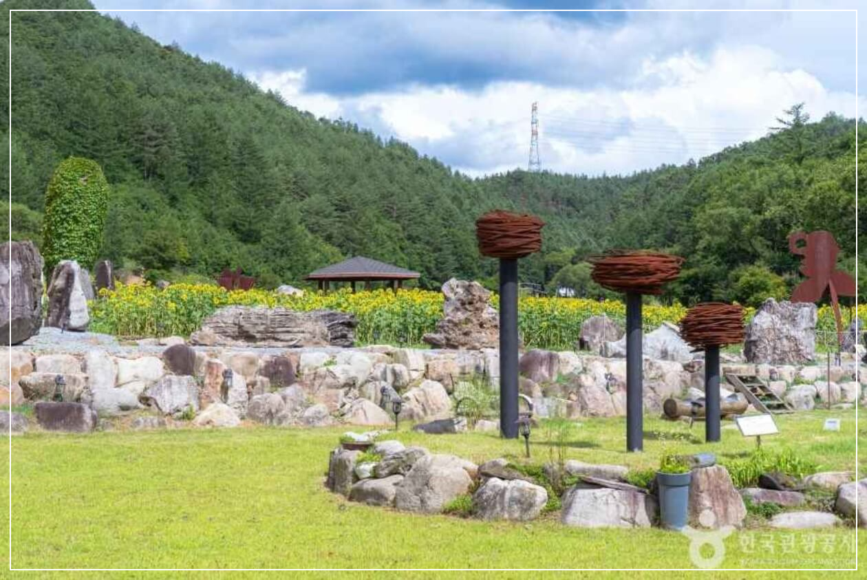 태백 가볼만한곳 베스트10 구와우마을(고원자생식물원)