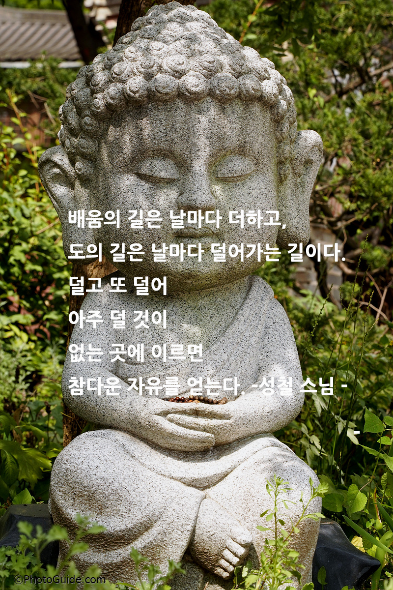성철스님-명언-부처상