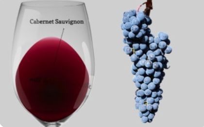 Cabernet Sauvignon
