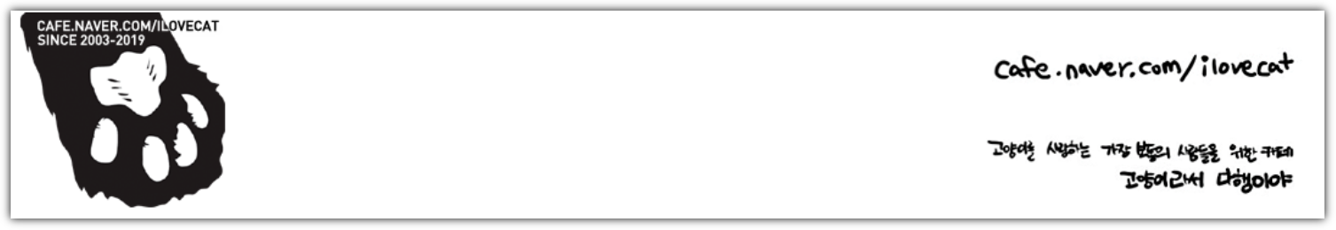 고양이라서-다행이야-카페-배너-이미지