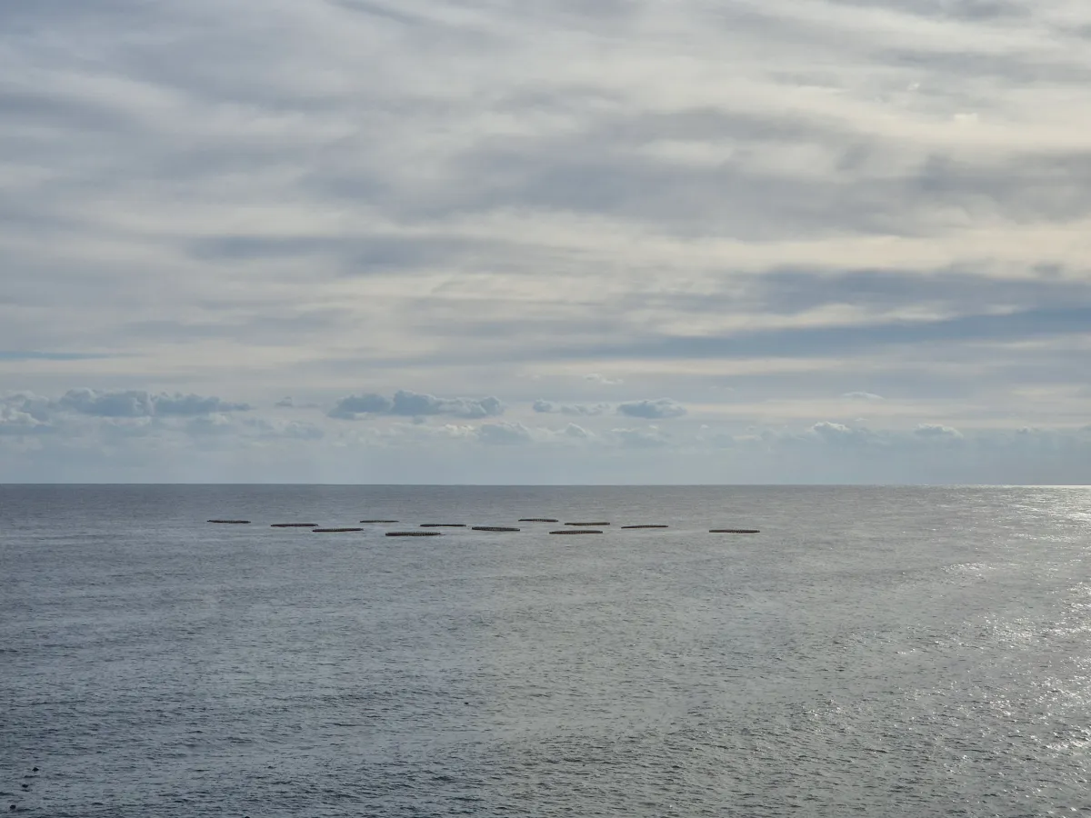 객실에서_찍은_파노라마_오션뷰_정면