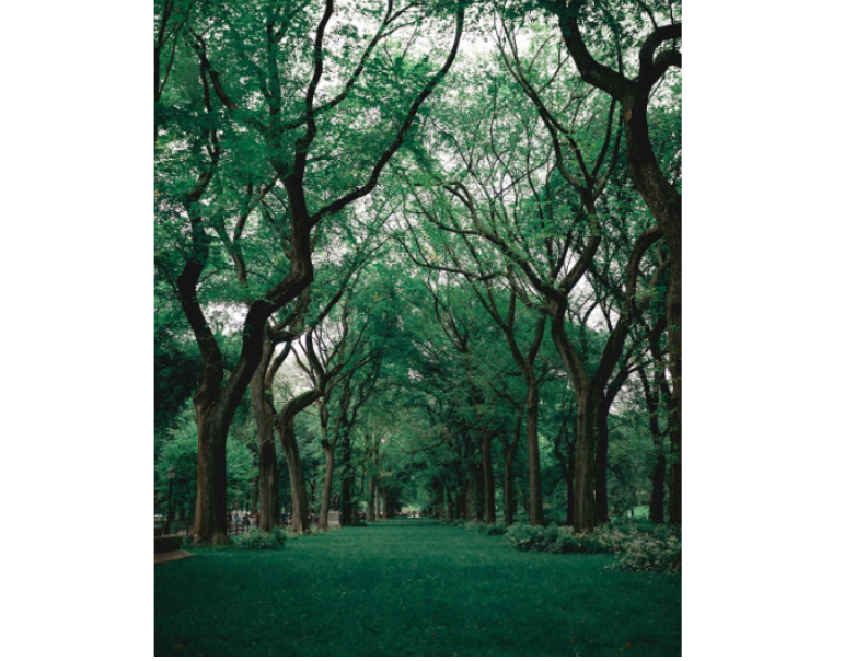 국립공원예약통합시스템