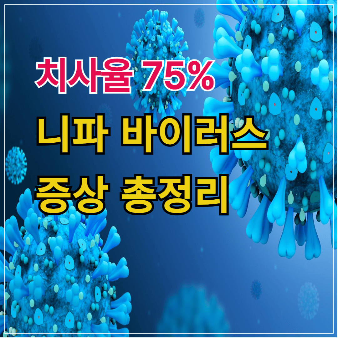 치사율75%, 니파바이러스에 대한 모든것