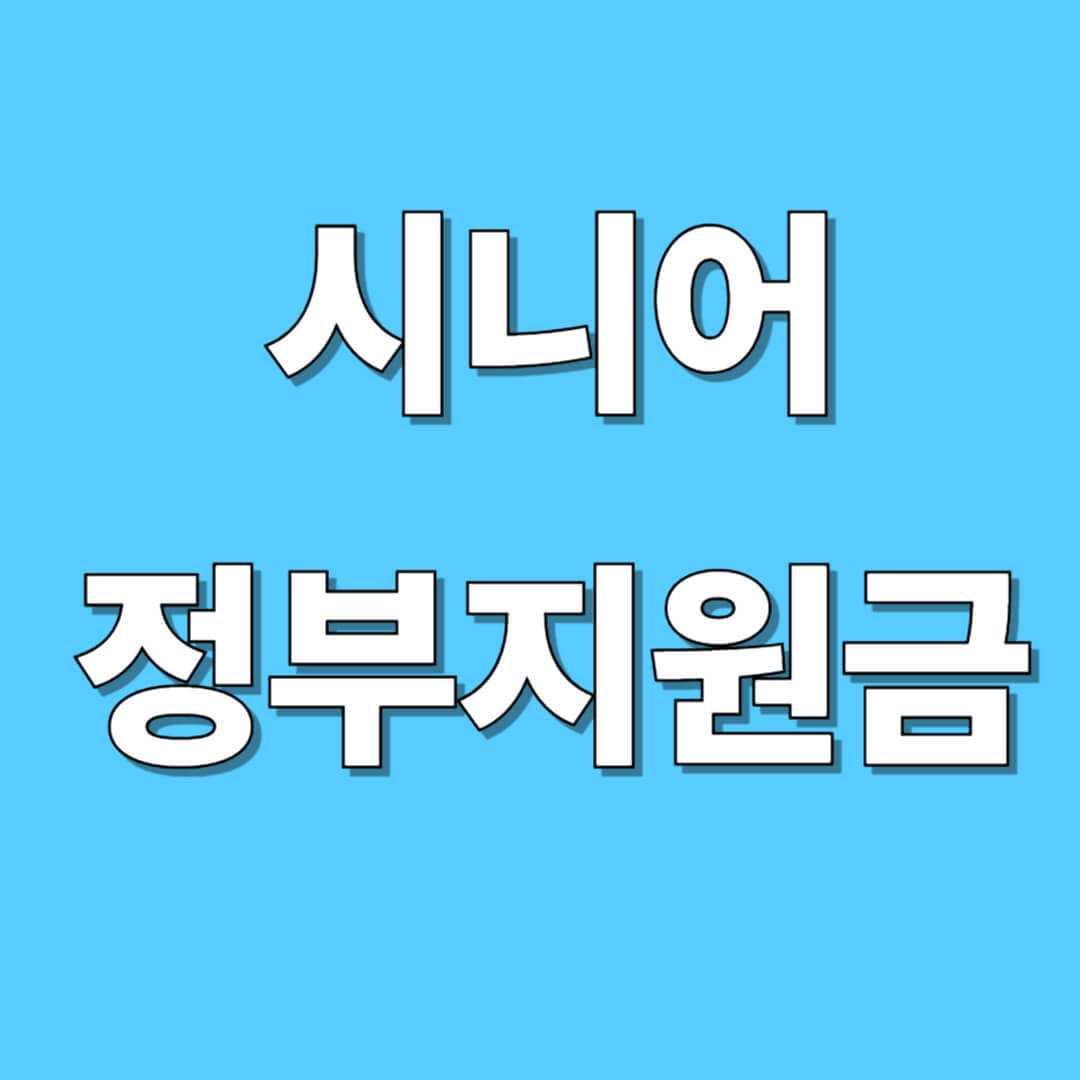 시니어 정부지원금