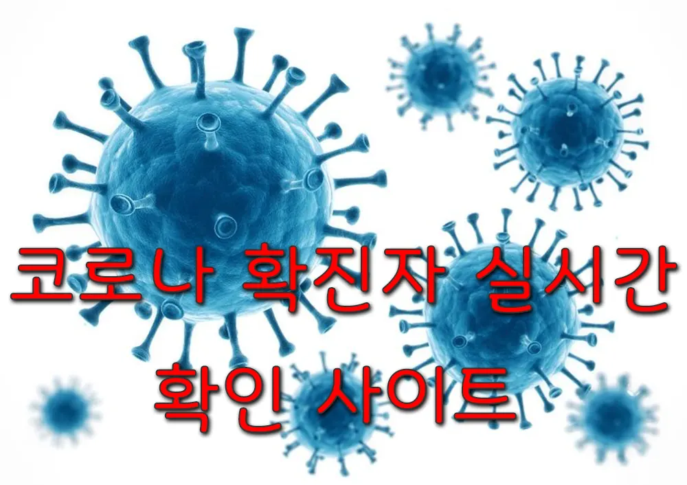 코로나 확진자 정보 실시간 확인 사이트_1