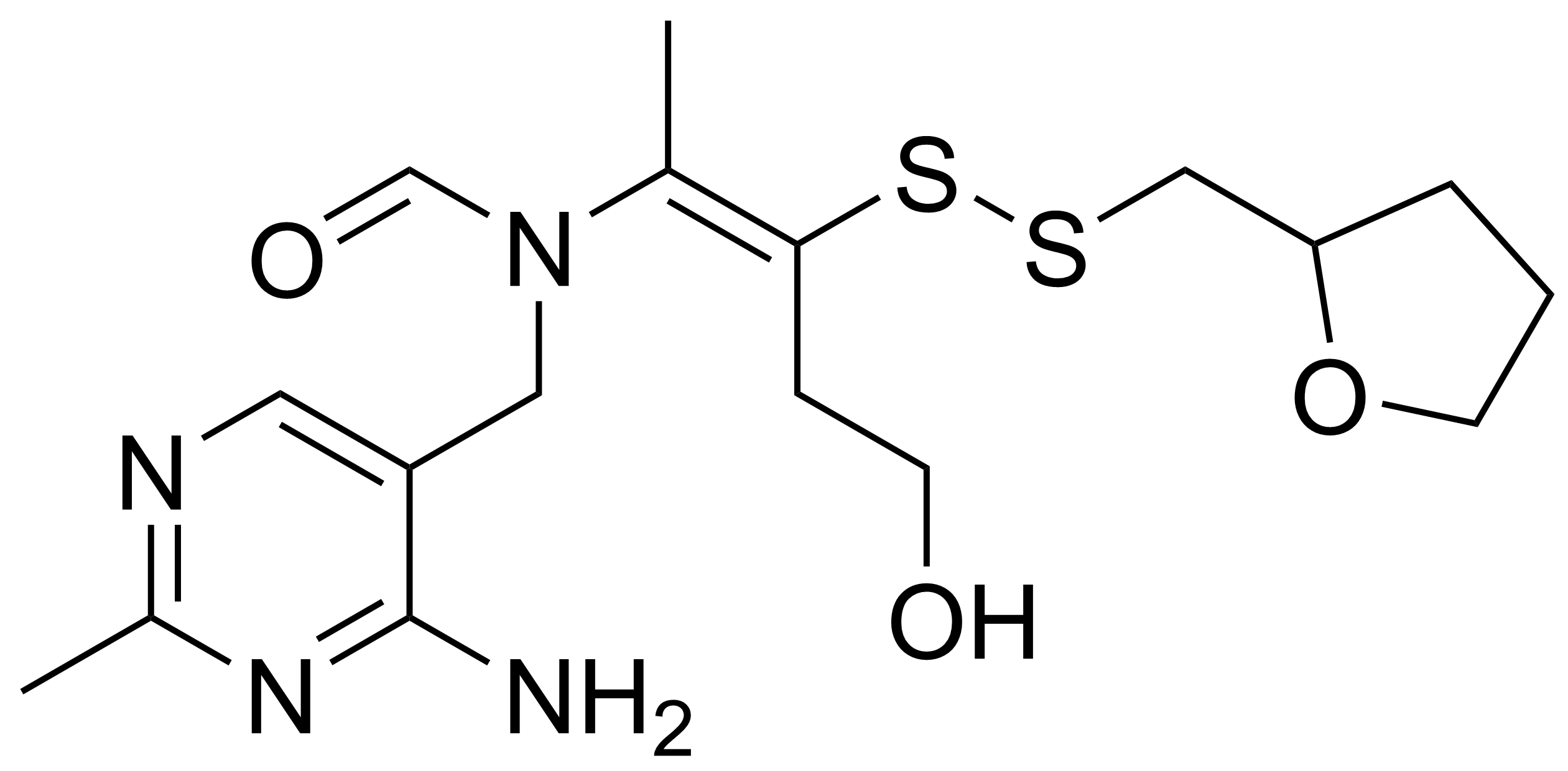 비타민 B1과 푸르설티아민 : 치매 예방과 신경병증 개선을 위한 필수 영양소