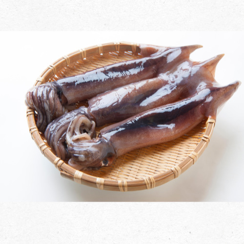 신선한 여름 제철 오징어 효능과 조리법