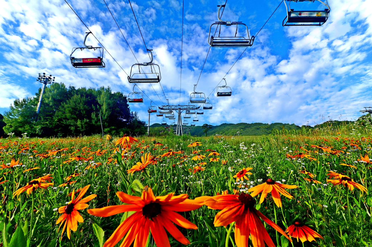 무주 가볼만한 곳 베스트10