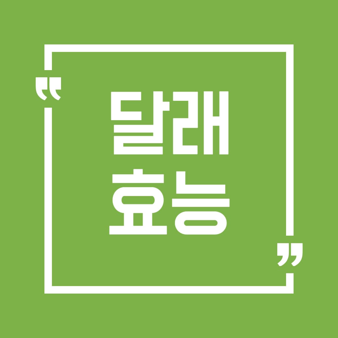 봄철 건강을 지키는 비밀, 달래 효능 총정리!