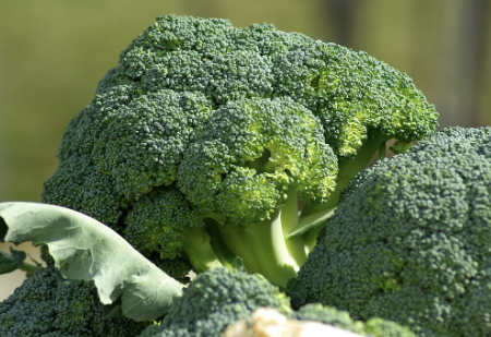 멜라토닌 많은 음식 31