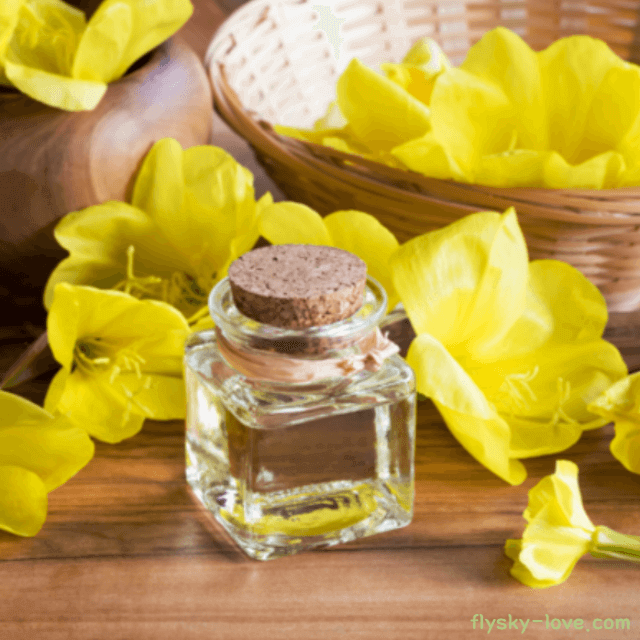 달맞이꽃 종자유