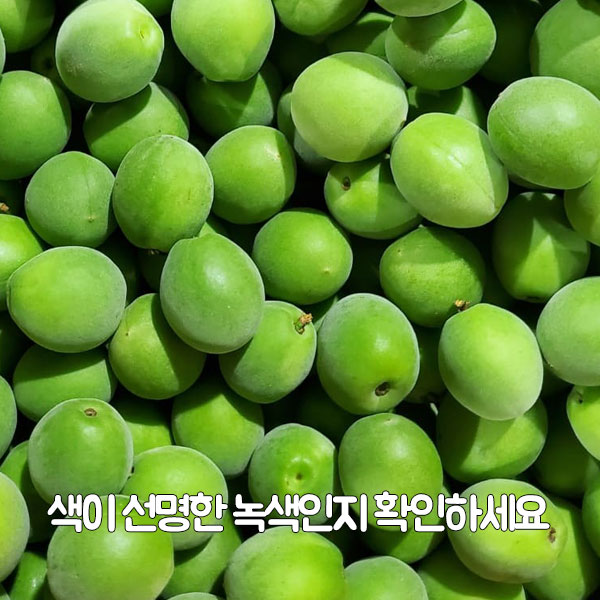 색이 선명한 녹색인지 확인하세요