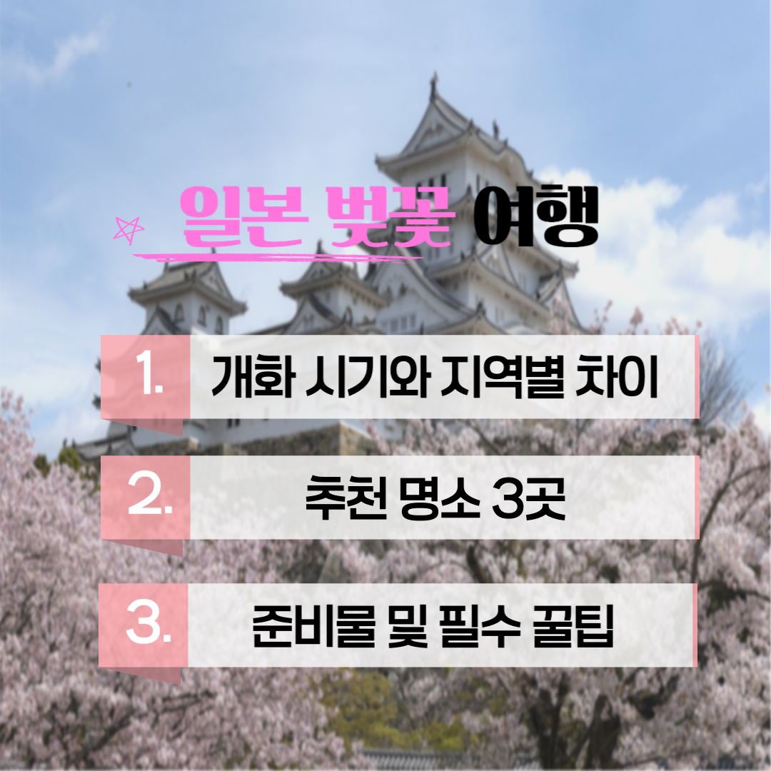 일본 벚꽃 여행(시기 및 지역별 차이, 추천 명소, 준비 및 팁) 관련 사진