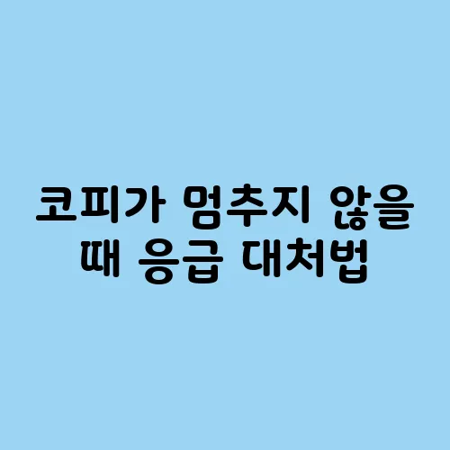 코피가 멈추지 않을 때 응급 대처법