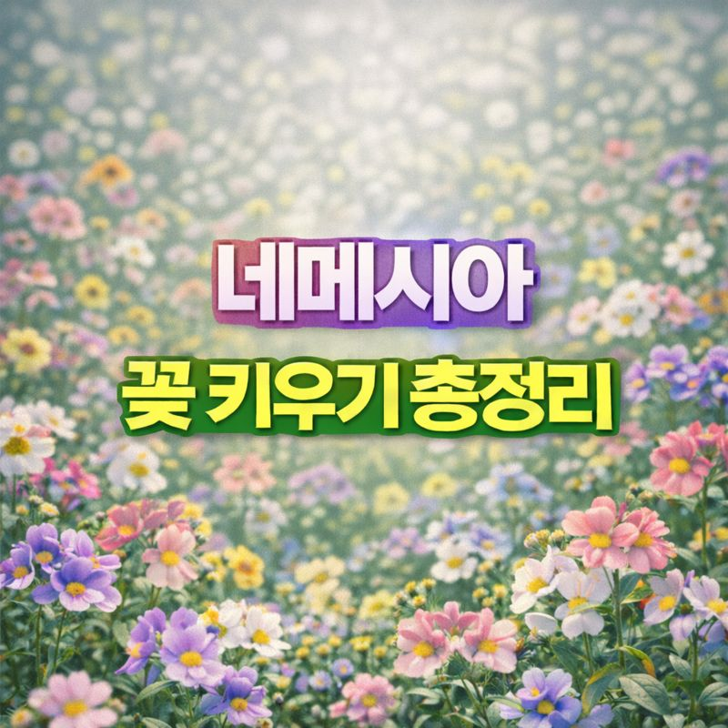 네메시아 키우기, 꽃말&middot;물관리&middot;파종시기&middot;번식&middot;분갈이&middot;가지치기&middot;월동 썸네일