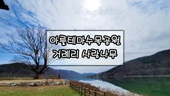 화천 가볼만한곳 베스트10 현지인 추천 필수코스_9