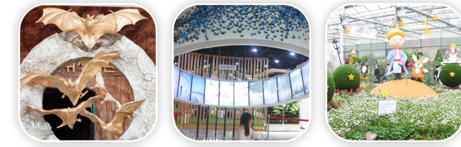 [4월 축제]2025 함평나비대축제｜일정, 기간, 입장권 예매 할인, 입장권 예약 이벤트, 공연, 체험프로그램 총정리