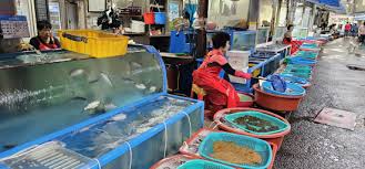 2024 마산어시장 축제 기본일정과 프로그램 정리 박군 요요미 김수찬 장하온 출연