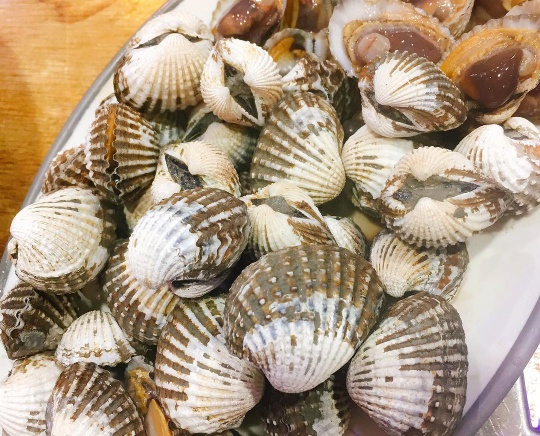 동작구 노량진 꼬막집 '순천집'