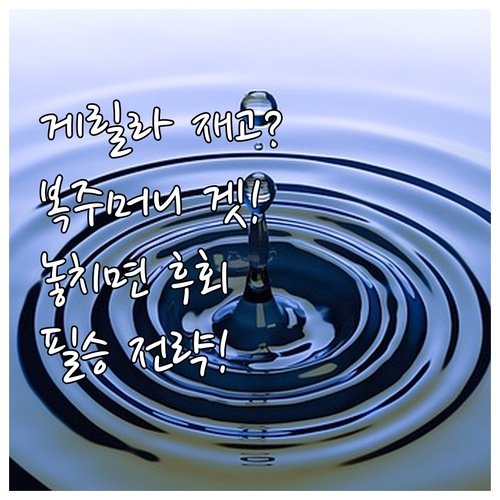 품절 전에 잡는다 복주머니 게릴라 재..