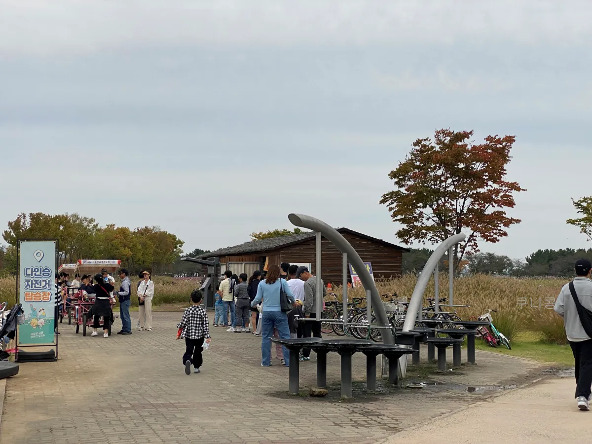 서울-근교-나들이-가볼만한곳-추천-억새-코스모스-시흥갯골생태공원-무료-주차-꿀팁