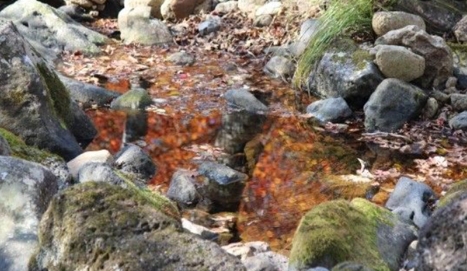 2025 한라산 단풍 절정시기 공개! 가을 초보자 코스 완벽 정리