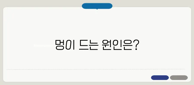 멍이 잘 드는 이유와 건강 신호
