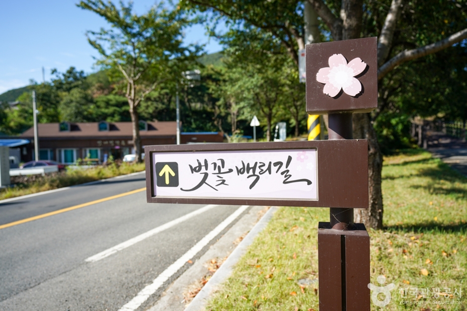 영천 가볼만한곳 BEST 10