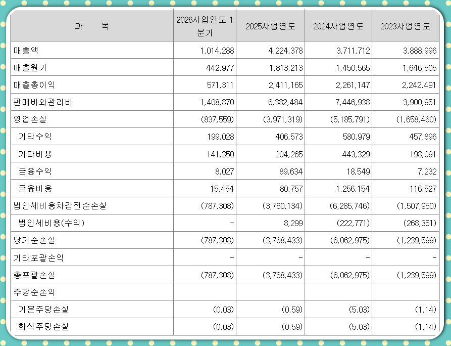 테라뷰홀딩스 요약재무표 일부