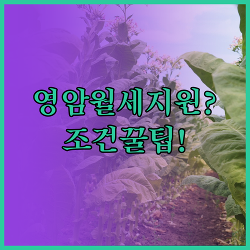 영암군 청년 월세 지원, 내가 받을 ..