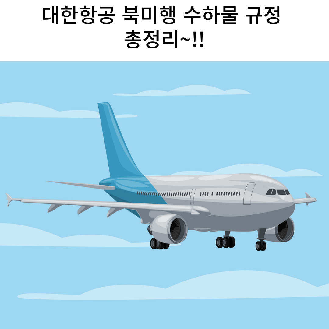 대한항공 북미행 수하물 규정 총정리