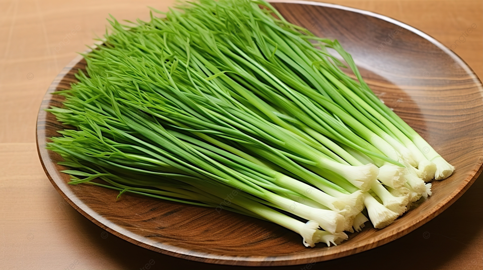 김장쪽파 심는시기