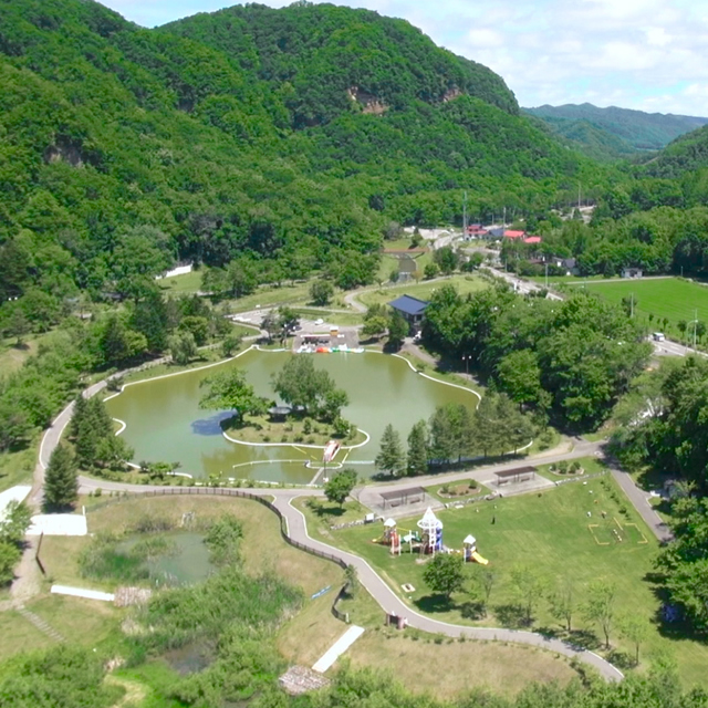 혼베스 감자와 옥수수의 농장